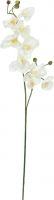 Udsmykning & Dekorationer, Europalms Orchid branch, artificial, cream-white, 100cm