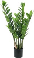 Udsmykning & Dekorationer, Europalms Zamifolia, artificial plant, 70cm