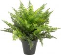 Udsmykning & Dekorationer, Europalms Fern bush in pot, artificial plant, 51 leaves, 48cm