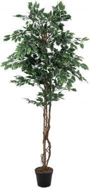 Europalms Variegated Ficus, artificial plant, 180cm