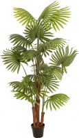 Europalms Fan palm, artificial plant, 165cm