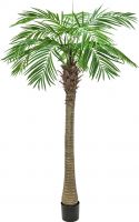 Kunstige planter, Europalms Phoenix palm tree luxor, artificial plant, 240cm