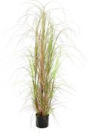 Kunstige planter, Europalms Grass bush, artificial, 150cm