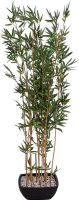 Decor & Decorations, Europalms Bamboo in bowl, artificial, 150cm