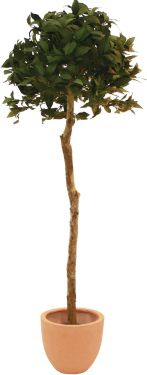 Europalms Laurel ball tree, artificial plant, 180cm