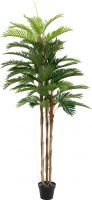 Kunstige planter, Europalms Kentia palm tree, artificial plant, 180cm