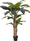 Kunstige planter, Europalms Banana tree, artificial plant, 170cm