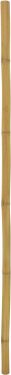 Europalms Bamboo tube, Ø=5cm, 200cm