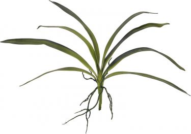 Europalms Orchid leaf (EVA), arificial, green, 45cm
