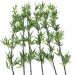 Europalms Bamboo tube with leaves, artificial, 180cm, sixpack
