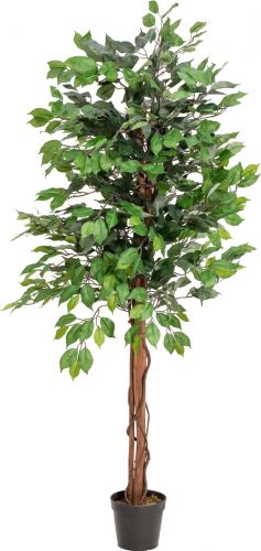 Europalms Ficus Tree Multi Trunk, artificial plant, 150cm