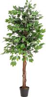 Udsmykning & Dekorationer, Europalms Ficus Tree Multi Trunk, artificial plant, 150cm