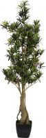 Artificial plants, Europalms Podocarpus tree, artificial plant, 115cm