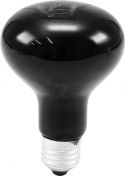 Black Light, Omnilux R80 230V/75W E-27 UV
