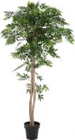 Kunstige planter, Europalms Ficus longifolia, artificial plant, 165cm