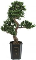 Decor & Decorations, Europalms Bonsai podocarpus, artificial plant, 80cm