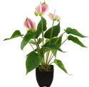 Kunstige planter, Europalms Anthurium, artificial plant, white and pink