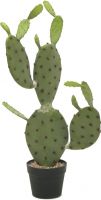 Europalms Nopal cactus, artificial plant, 75cm