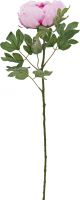 Udsmykning & Dekorationer, Europalms Peony Branch classic, artificial plant, pink, 80cm