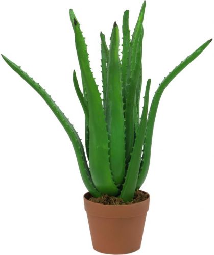 Europalms Aloe Vera Plant, artificial plant, 63cm