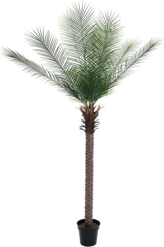 Europalms Phoenix  palm deluxe, artificial plant, 220cm