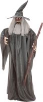 Decor & Decorations, Europalms Halloween Figure Wizard, animated 190cm