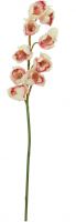 Kunstige Blomster, Europalms Cymbidium branch, artificial, creme-pink, 90cm