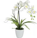 Decor & Decorations, Europalms Orchid arrangement 1, artificial