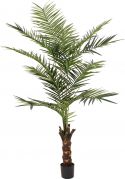 Udsmykning & Dekorationer, Europalms Kentia palm tree, artificial plant, 240cm