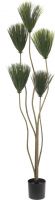 Kunstige planter, Europalms Papyrus plant, artificial, 130cm