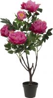 Europalms Peonies, rose, artificial plant, 90cm