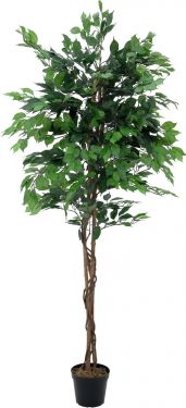 Europalms Ficus Tree Multi-Trunk, artificial plant, 210cm