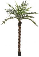 Europalms Kentia palm tree deluxe, artificial plant, 300cm