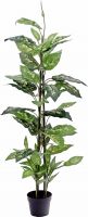 Kunstige planter, Europalms Dieffenbachia, artificial, 120cm