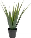 Europalms Aloe vera plant, artificial plant, 60cm