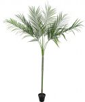 Udsmykning & Dekorationer, Europalms Areca deluxe, artificial plant, 180cm