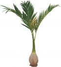 Artificial plants, Europalms Phoenix palm, artificial plant, 240cm