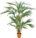 Artificial plants, Europalms Canary date palm, artificial plant, 240cm