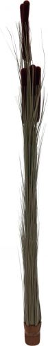 Europalms Reed grass cattails, dark-brown, artificial,  152cm