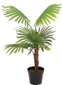 Europalms Fan palm, artificial plant, 88cm