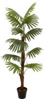 Europalms Fan palm, artificial plant, 155cm