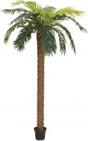 Udsmykning & Dekorationer, Europalms Phoenix palm deluxe, artificial plant, 250cm