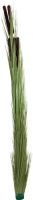 Decor & Decorations, Europalms Reed grass with cattails,light green, artificial, 152cm