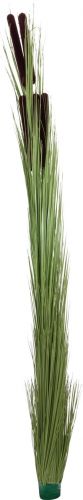 Europalms Reed grass with cattails,light green, artificial, 152cm