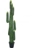 Europalms Mexican cactus, artificial plant, green, 173cm