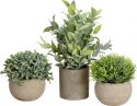 Europalms Table plants in pots, artificial plant, Set of 3