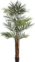 Kunstige planter, Europalms Kentia palm tree, artificial plant, 300cm