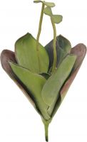 Decor & Decorations, Europalms Water Lily (EVA),artificial plant, closed, green, 45cm
