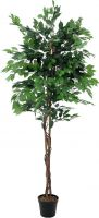 Udsmykning & Dekorationer, Europalms Ficus Tree Multi-Trunk, artificial plant, 210cm