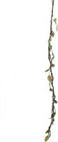 Artificial plants, Europalms Heather twine, with LEDs, white, 180cm